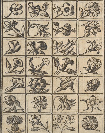 Exempel på recammi, sidan 10 verso, 1530. av Giovanni Antonio Tagliente