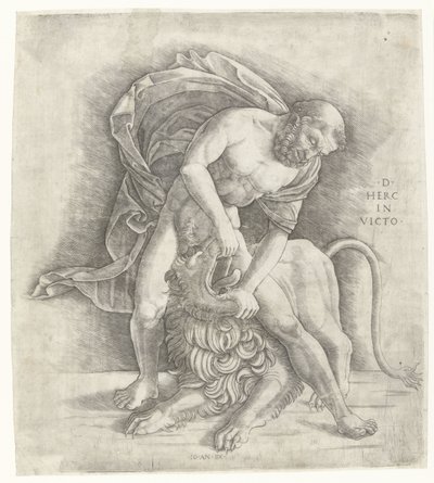 Hercules slåss mot lejonet från Nemean Herkules erövrar det Nemeiska lejonet D HERC IN VICTO (titel på objekt) av Giovanni Antonio da Brescia