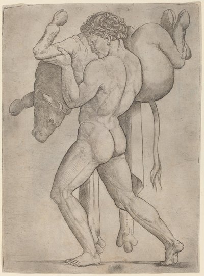 Herkules och den kretensiska tjuren av Giovanni Antonio da Brescia