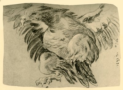 Örn, 1751-1752, 1928 av Giovanni Battista Tiepolo