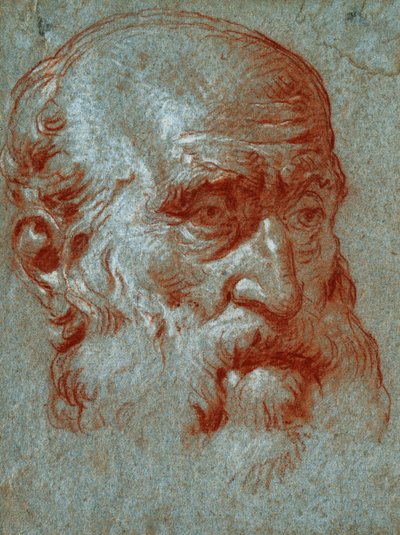 Chef för en venetiansk patricier, Three Quarter Face, av Giovanni Battista Tiepolo