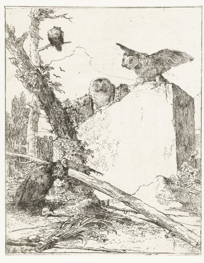 Titeltryck för Scherzi di fantasia med ugglor nära en sten Scherzi di fantasia (serietitel) av Giovanni Battista Tiepolo