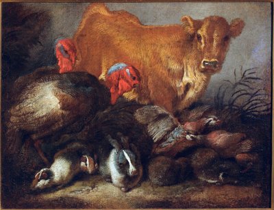 Studie av djur Ko, kalkon, kanin, Målning av Giovanni Benedetto Castiglione dit il Grechetto (1610-1665) Dim.30x38,5 cm Gener, Musei di Strada Nuova av Giovanni Benedetto Castiglione