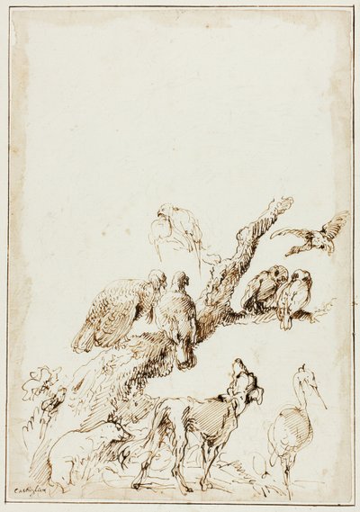 Fåglar och djur runt ett dött träd av Giovanni Benedetto Castiglione