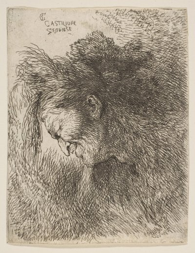 Huvudet på en gammal man som tittar ner, vänd mot vänster, från serien av små huvuden i ..., ca. 1645-1650. av Giovanni Benedetto Castiglione