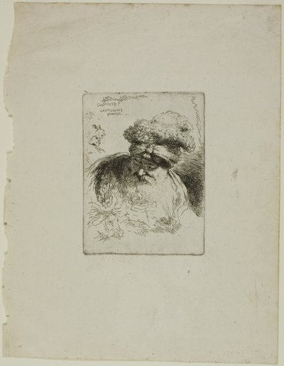 Gammal man med turban av Giovanni Benedetto Castiglione