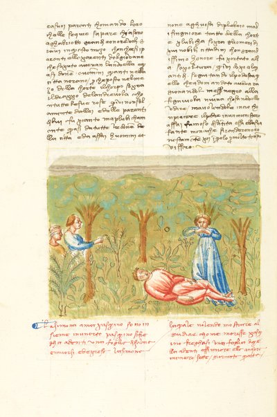 Decameron, Salvia - Pasquinos död , Fjärde dagen, novell 7. av Giovanni Boccaccio