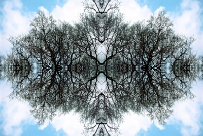 Onaturligt 100 (digitalt manipulerat foto) av Giovanni Cafagna