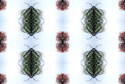 Onaturlig 110 (digitalt manipulerat foto) av Giovanni Cafagna