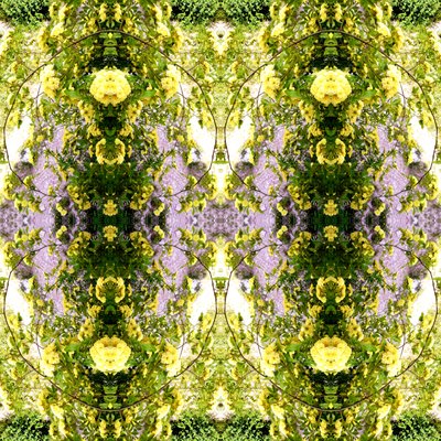Onaturligt 150 (digitalt manipulerat foto) av Giovanni Cafagna
