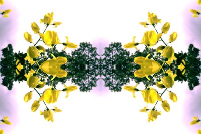 Onaturligt 151.2 (digitalt manipulerat foto) av Giovanni Cafagna