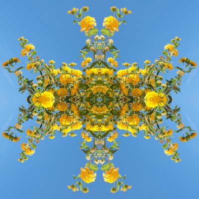 Onaturligt 193 (digitalt manipulerat foto) av Giovanni Cafagna
