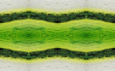 Onaturlig 2.1 (digitalt manipulerat foto) av Giovanni Cafagna