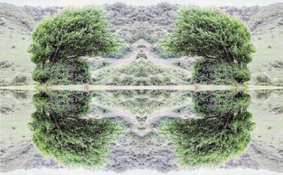 Onaturligt 40 (digitalt manipulerat foto) av Giovanni Cafagna
