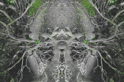 Onaturligt 42 (digitalt manipulerat foto) av Giovanni Cafagna