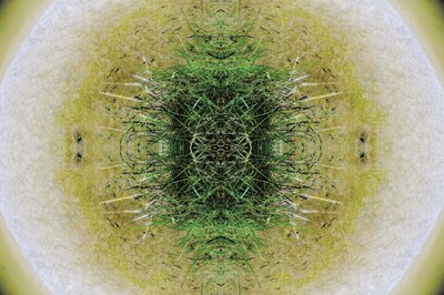 Onaturlig 6.1 (digitalt manipulerat foto) av Giovanni Cafagna