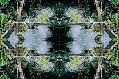 Onaturligt 73 (digitalt manipulerat foto) av Giovanni Cafagna