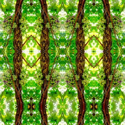 Onaturlig 74 (digitalt manipulerat foto) av Giovanni Cafagna