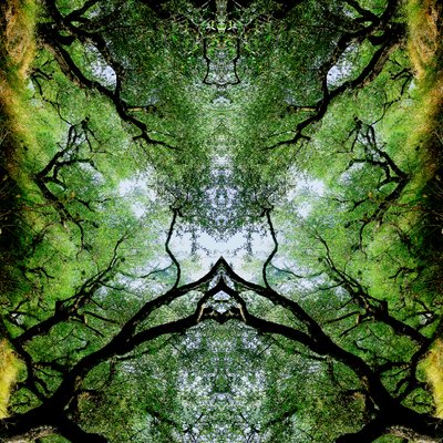 Onaturlig 75 (digitalt manipulerat foto) av Giovanni Cafagna