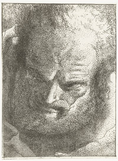 Man tittar ner Samling av huvuden (serietitel) Raccolta di Teste (serietitel) av Giovanni Domenico Tiepolo