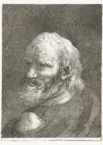 Man med bara axel Samling av huvuden (serietitel) Raccolta di Teste (serietitel) av Giovanni Domenico Tiepolo