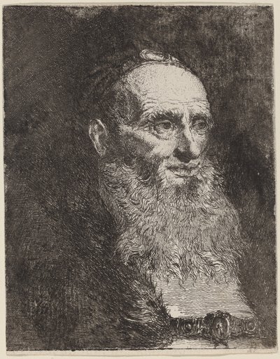 Gammal man med skägg av Giovanni Domenico Tiepolo