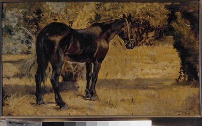 Dark horse (olja på duk av Giovanni Fattori