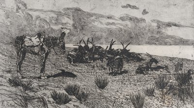 Åsna och getter på en strand på vintern, 1884-1908. av Giovanni Fattori