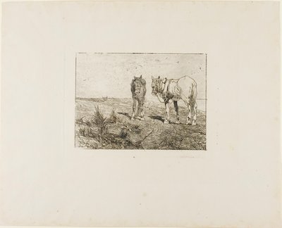 Hästarnas vila av Giovanni Fattori