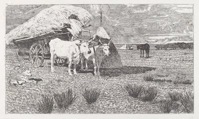 Oxar spända för en kärra (Maremma) av Giovanni Fattori