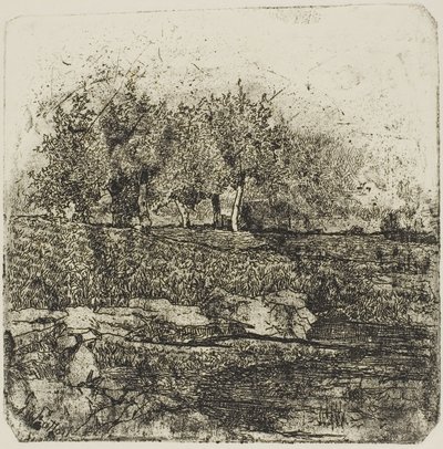 Träd på en äng av Giovanni Fattori