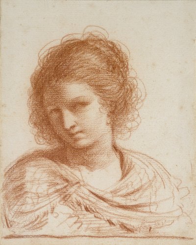 Chef för en ung kvinna, 1650 - 1666 (röd krita på vitt papper) av Giovanni Francesco Barbieri