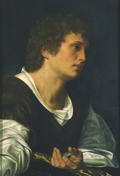 Evangelisten Johannes (olja på duk) av Giovanni Girolamo Savoldo