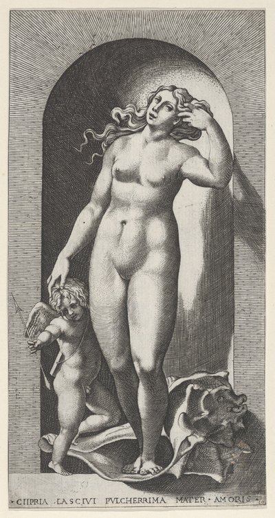 Plåt 10: Venus i en nisch, stående på ett snäckskal, med Amor till höger om henne, från en ser..., 1526. av Giovanni Jacopo Caraglio