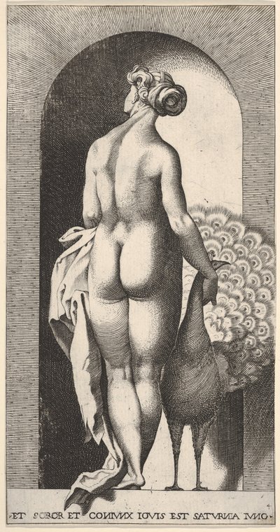 Plåt 4: Juno står i en nisch, sedd bakifrån, strök en påfågel till höger om henne, fr..., 1526. av Giovanni Jacopo Caraglio