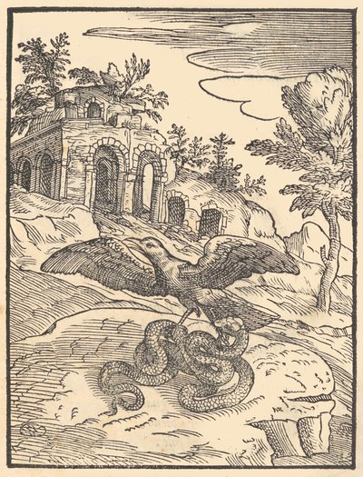 Fågel och orm, 1570. av Giovanni Maria Verdizotti