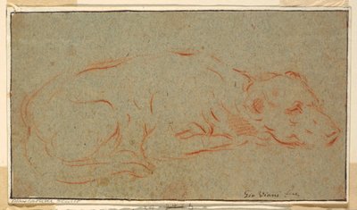 Skiss: En ligghund av Giovanni Maria Viani