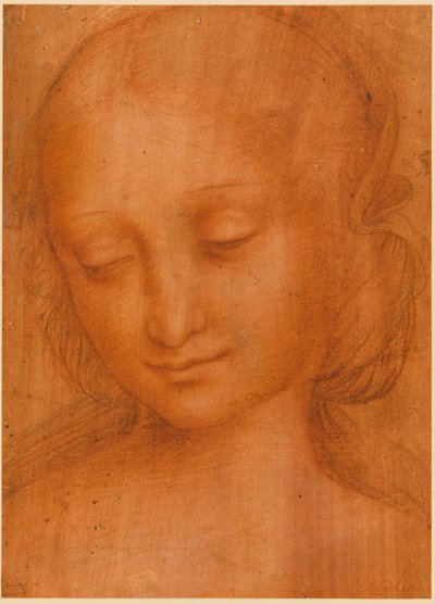 Huvud av en kvinna av Giovanni Pietro Rizzoli Giampietrino