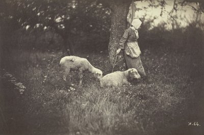 Herdinna lutad mot ett träd, med två får, 1870. av Giraudon
