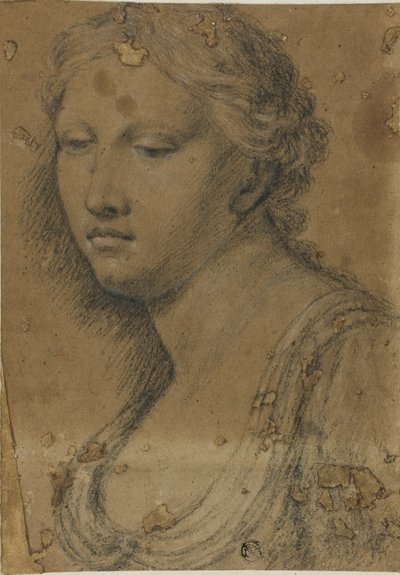 Byst av kvinna av Girolamo da Carpi