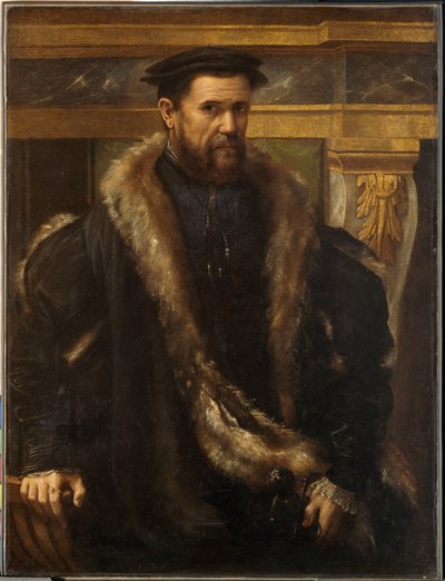 Porträtt av en man, ca 1550 (olja på duk) av Girolamo da Carpi