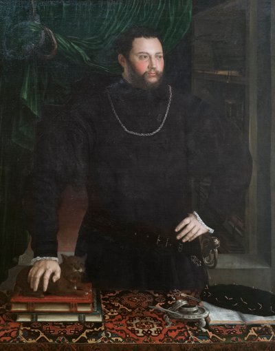 Porträtt av en gentleman av Girolamo da Carpi