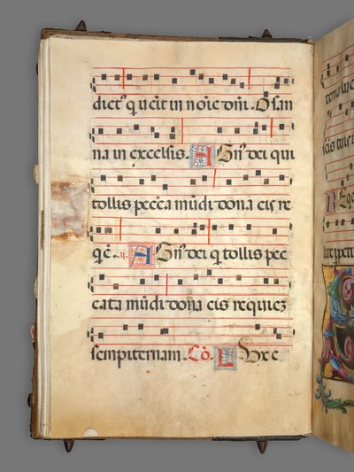 Gradvis av Girolamo dai Libri