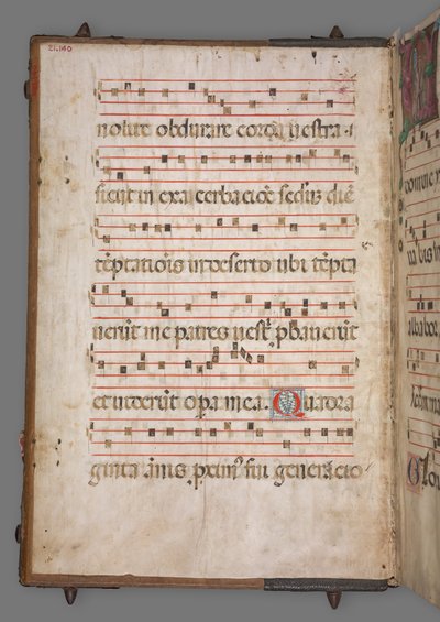 Gradvis, c. 1520. av Girolamo dai Libri