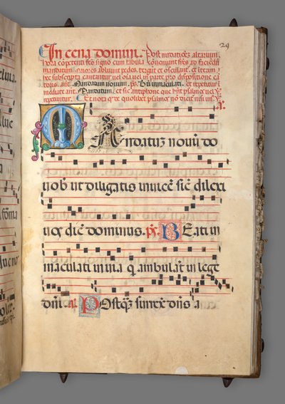 Gradvis, c. 1520. av Girolamo dai Libri