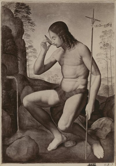 Johannes Döparen i vildmarken av Giuliano Bugiardini