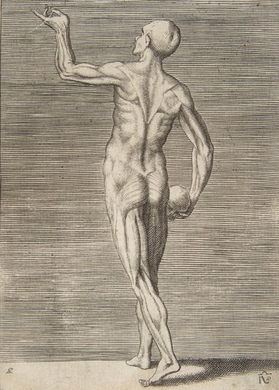 Man sedd från baksidan, med en skalle i sin högra hand, 1500-talet. av Giulio Bonasone