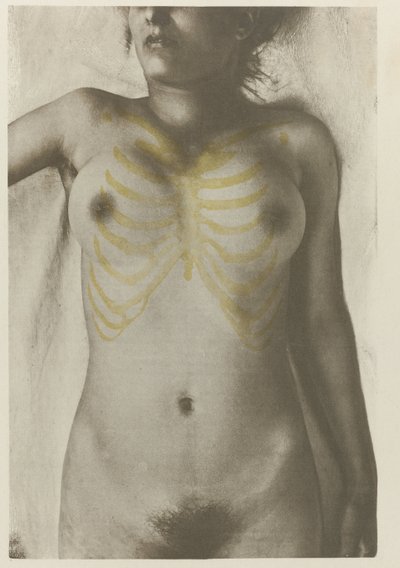 Anatomisk foto av een vrouwelijk lijk: 