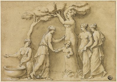 Adonis födelse av Giulio Romano