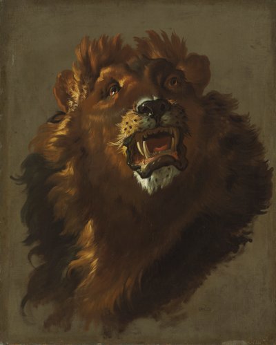 Lejon av Giuseppe Baldrighi